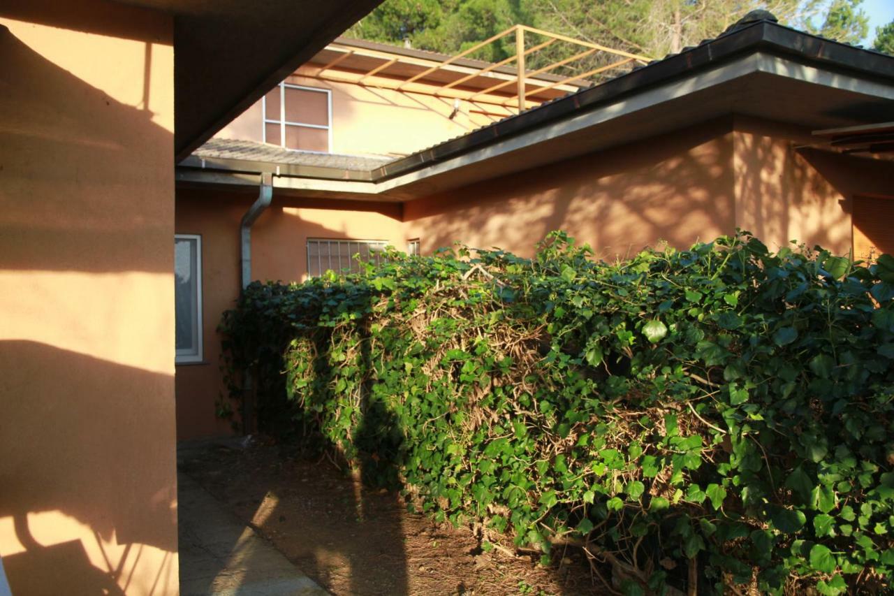 Villa Giulia Al Mare Castiglione della Pescaia Exterior foto